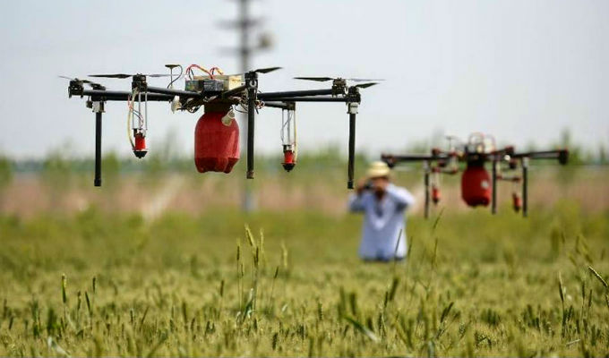 Con una app, ayudan a productores agropecuarios a monetizar buenas prácticas